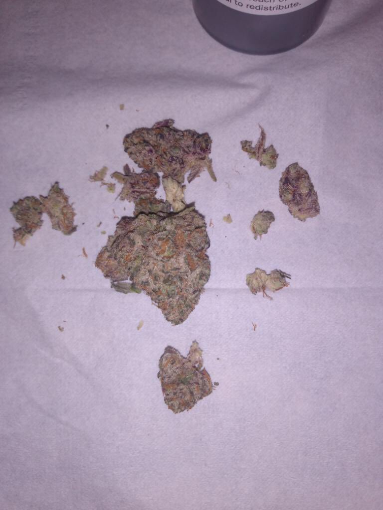 glitter_kush's tweet photo. Indica or hybrid? Comment below @Dope_Dev420 https://t.co/h4vJ8yF7XS
