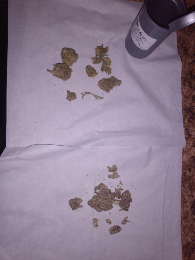 glitter_kush's tweet photo. Indica or hybrid? Comment below @Dope_Dev420 https://t.co/h4vJ8yF7XS