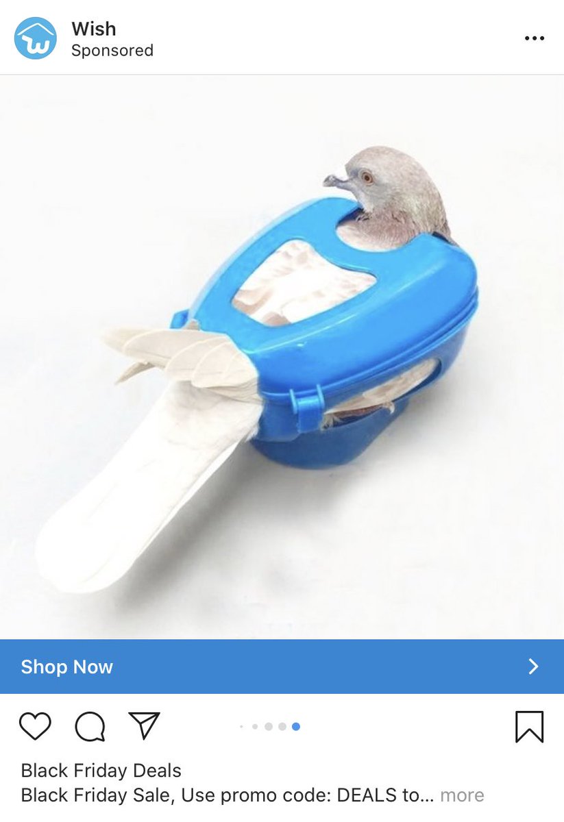 Pigeon holder or trap? Is this a tool for magicians?