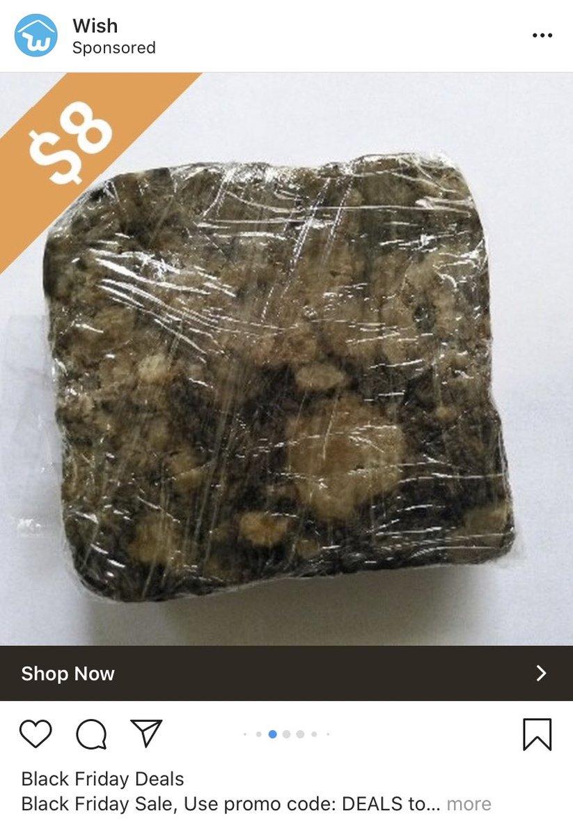 I think this is just moldy bread?