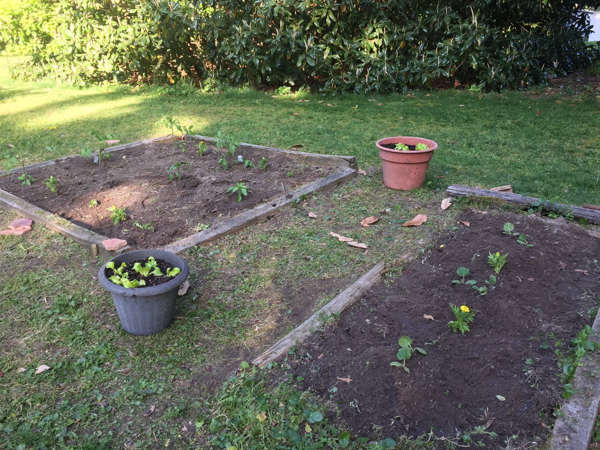 vpwcte's tweet photo. #NCFCSEd Working Together Wednesday supporting #localbusiness @mindenhillfarms & Happy Earth Day Garden! https://t.co/qeMqrqcnwJ