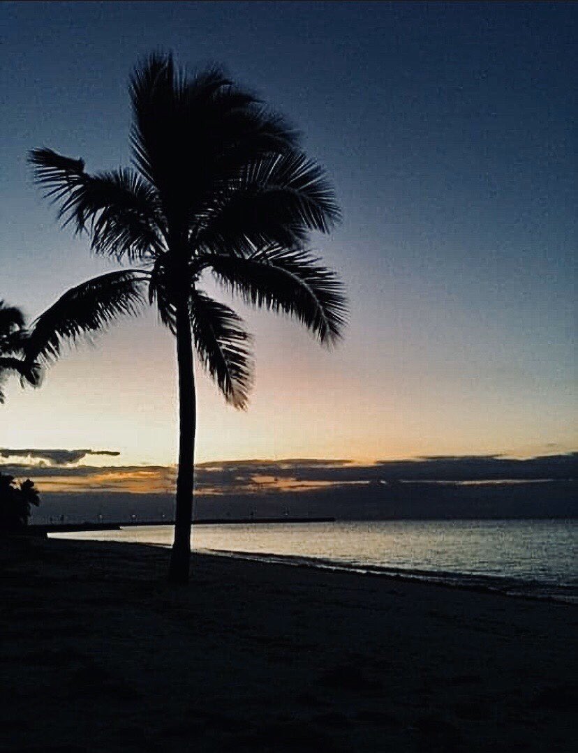 StarskiEllen's tweet photo. Every day is #EarthDay. And now we continue with #SarasStory Part 4: The third encounter.

The last time I saw Sara was in #KeyWest, Florida. My singing career had brought me to “the southernmost point of the U.S.” to perform at a bar... https://t.co/TIhQSEWo4M https://t.co/WLm4TRkgcG