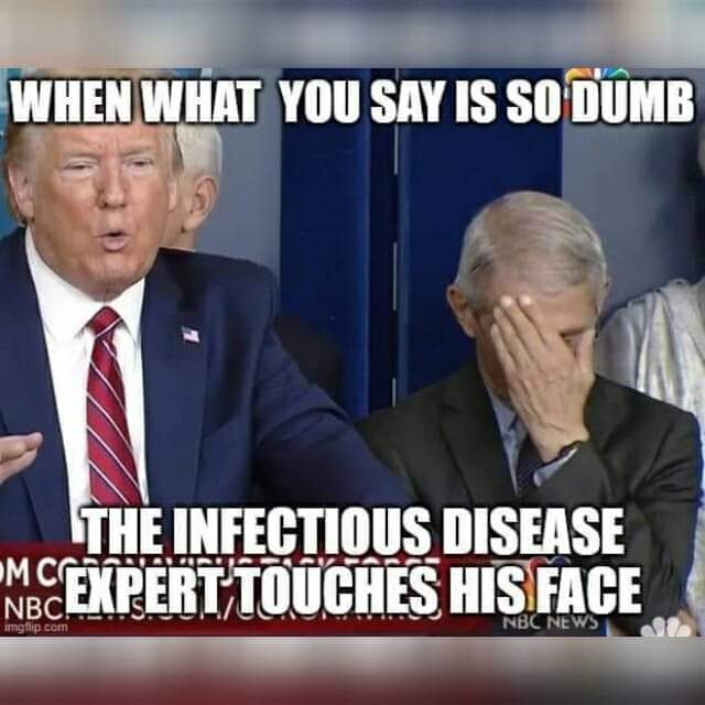 #SignsYoureACOVIDIOT you said something so dumb that you made the infectious disease expert touch his face