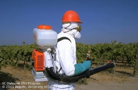 aisvash's tweet photo. On the shortage of PPE to pesticide applicators in California. A must read news release by my colleague Ms. A. Katrina Hunter (UC-IPM). This applies to structural pest control too.
https://t.co/trag5xaeX6 https://t.co/g1hgLahxLK