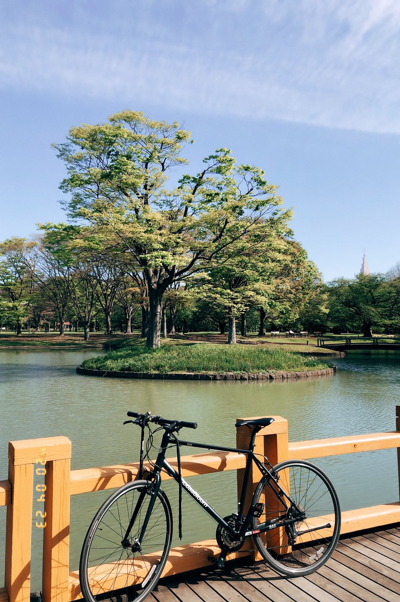 三浦宗一郎 Soichiro Miura 代々木公園 サイクリング マインドフルネスモーニング
