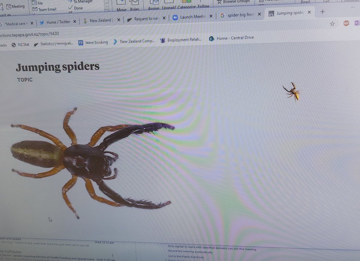 Comrade Nick tweet media