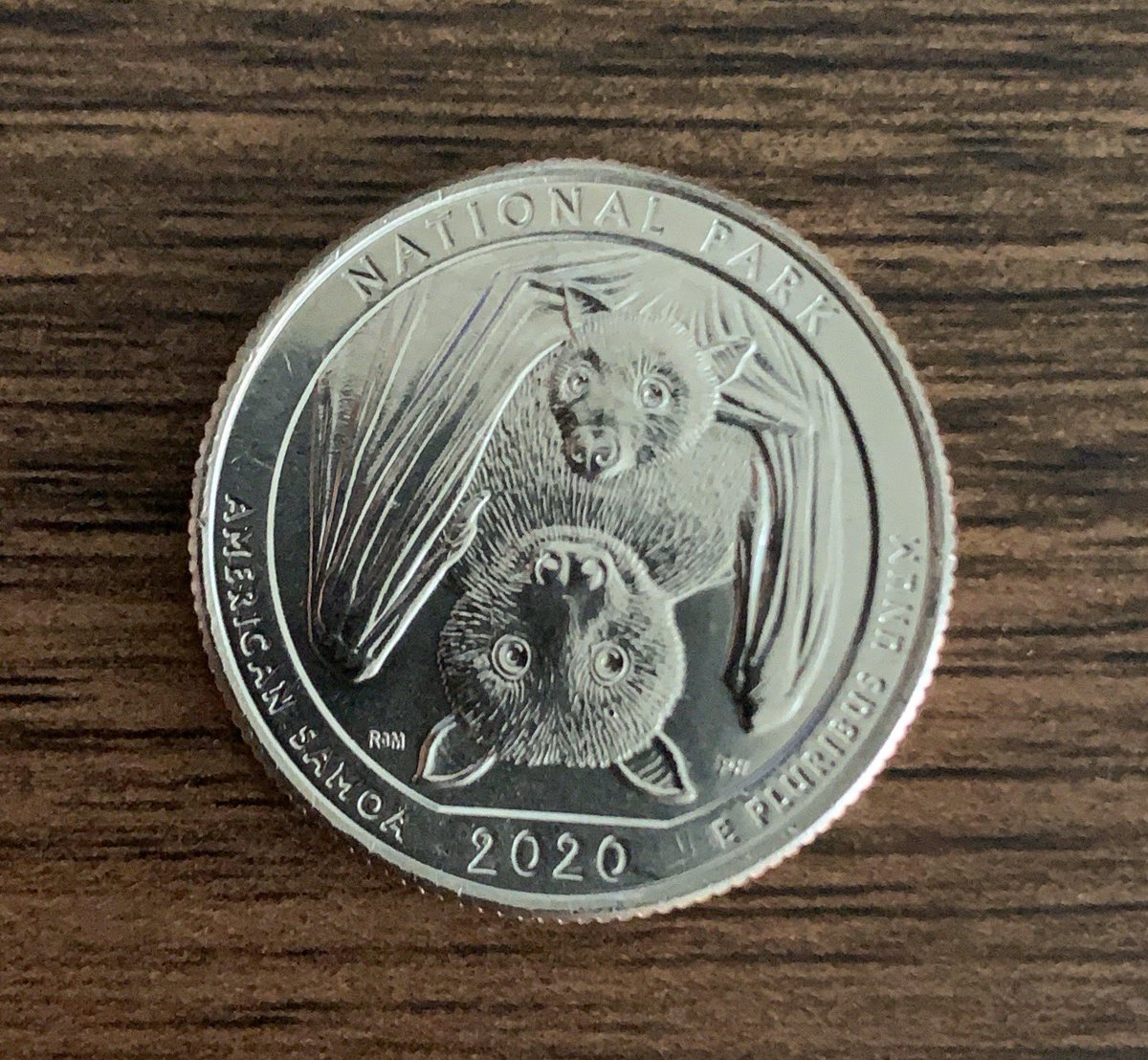 amehra42's tweet photo. Of course the new 2020 quarters have bats on them 😑 https://t.co/IUixfljI8Z
