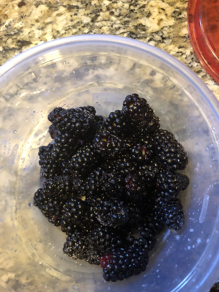 Bwoodvisualarts's tweet photo. Due to the many hours of Mandalorian training, I’ve failed to keep up with my yardwork. But due to my failure, I’ve discovered I have grown Blackberries. I predict a Cobbler in my future. “No mistakes ... just happy accidents” @MrCoachEhrlich #5daysofFailure https://t.co/6MrPC5ACCp