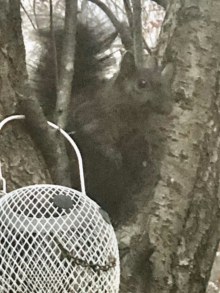 Sherry Bogdan tweet media