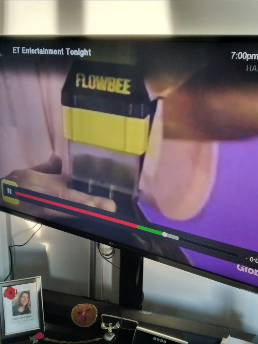 Massatron101's tweet photo. For all you millenniums that can not make it to your barber or stylist there always the #flobbee #90's #infomercail https://t.co/P3927O9z0F