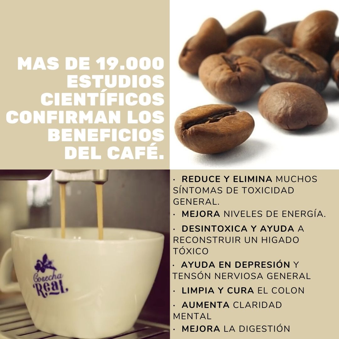 CafeCosechaReal's tweet photo. cafe_cosecha_real Elegir el café adecuado es muy importante para mejorar la salud, el rendimiento y longevidad. ...
#cafeencasa #cafeorganico #organiccoffee #cafeessalud #coffeelovers #libredetoxinas #primerolasalud #quedateencasa #cosechareal #cafedecolombia #coffeefarm https://t.co/DqvJspoFIB