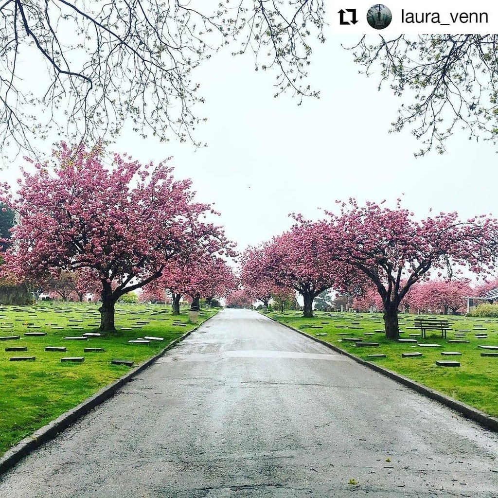 cityofnewwest's tweet photo. #Repost @laura_venn
• • • • • •
New Westminster, British Columbia
Happy Earth Day! 🌸🌿
.
.
.
.
.
.
.
#pnwonderland #newwestminster #pnwlife #vancouver #vancitybuzz #dailyviewbc #dailyviewcanada #explorecanada #canada #vancouverbc #explorecreate #… https://t.co/qfUlKNdc6D https://t.co/mPl9qEhedR