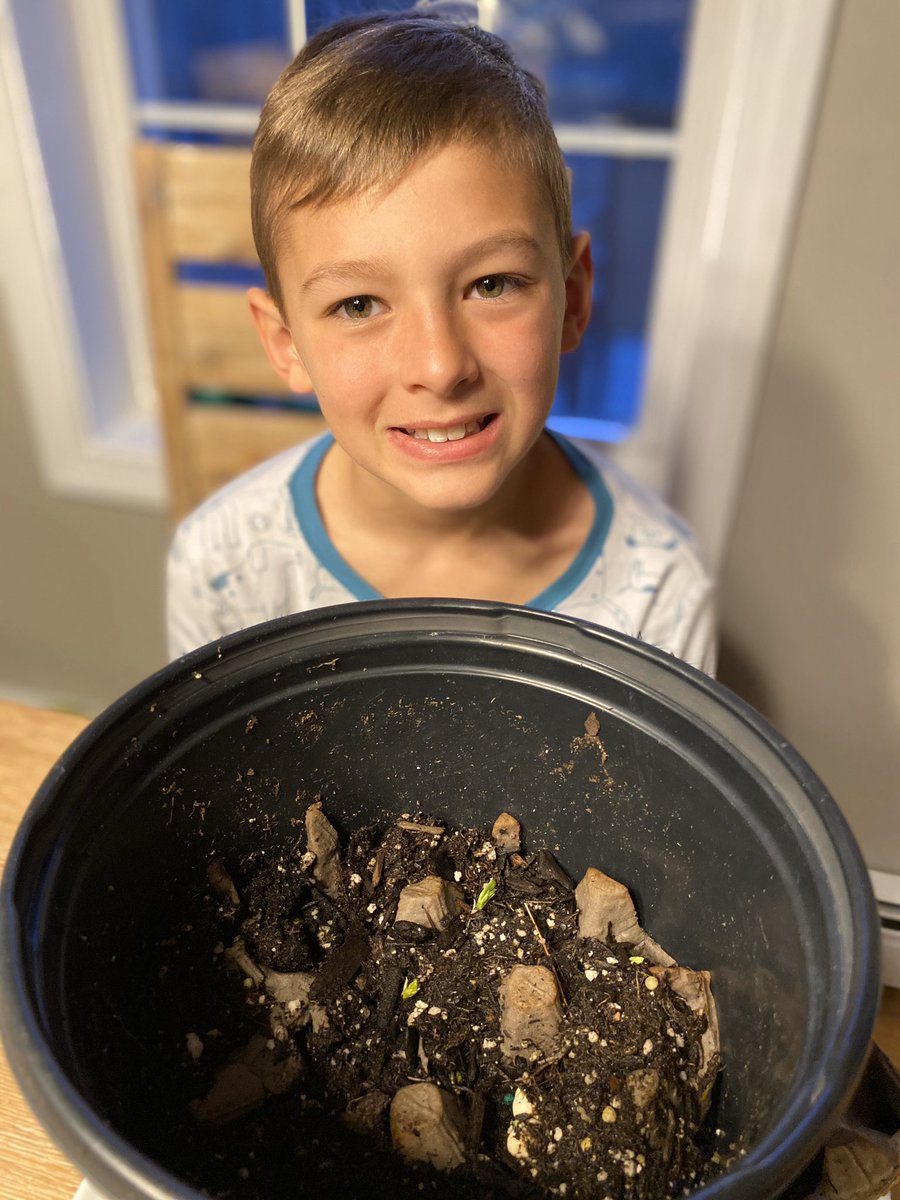 emard_a's tweet photo. Thank you @LutherSchool for the cucumber seeds last week. Saw our first sprouts just in time for Earth Day! 🌎 https://t.co/mmDgMlQmLW