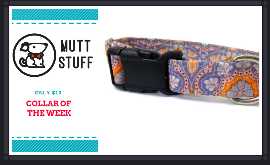 MuttStuffnc's tweet photo. Check out this weeks #collaroftheweek. The Collar Of the Week is only $10 no matter what size or style you need. https://t.co/BNeaNkiDQg

#dogs #Epiconetsy #etsy #EtsySocial #HandmadeHour #dogcollar #mansbestfriend #paisley #shopsmall #etsydog https://t.co/nwMejEbWbG