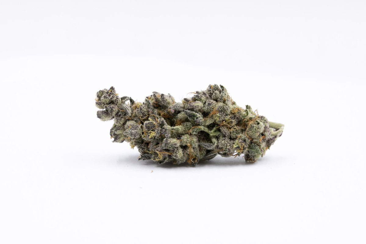Verde__Natural's tweet photo. Strain of the Week : Tropicana Cookies - This GSC x Tangie cross is known for its smooth and creamy citrus flavor provided by myrcene, limonene and  BCP. Trop Cookies has been known to give a calming, relaxing experience. https://t.co/jYcg3eaibC