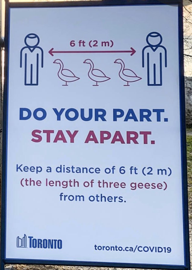 Asta_de_B's tweet photo. @MeanwhileinCana ... or three Canada geese 🇨🇦
#MeasureSocialDistanceBy https://t.co/pBrvWWZIa4