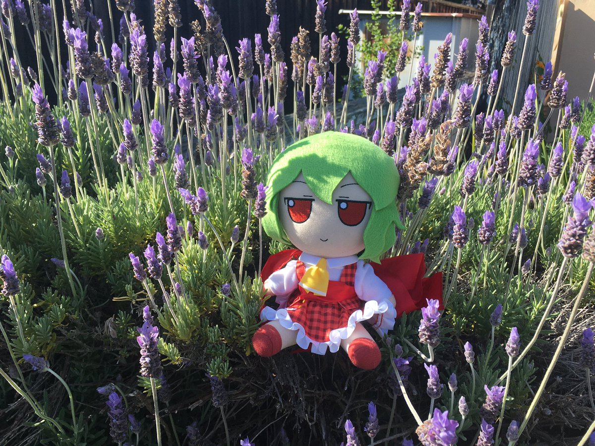 💐