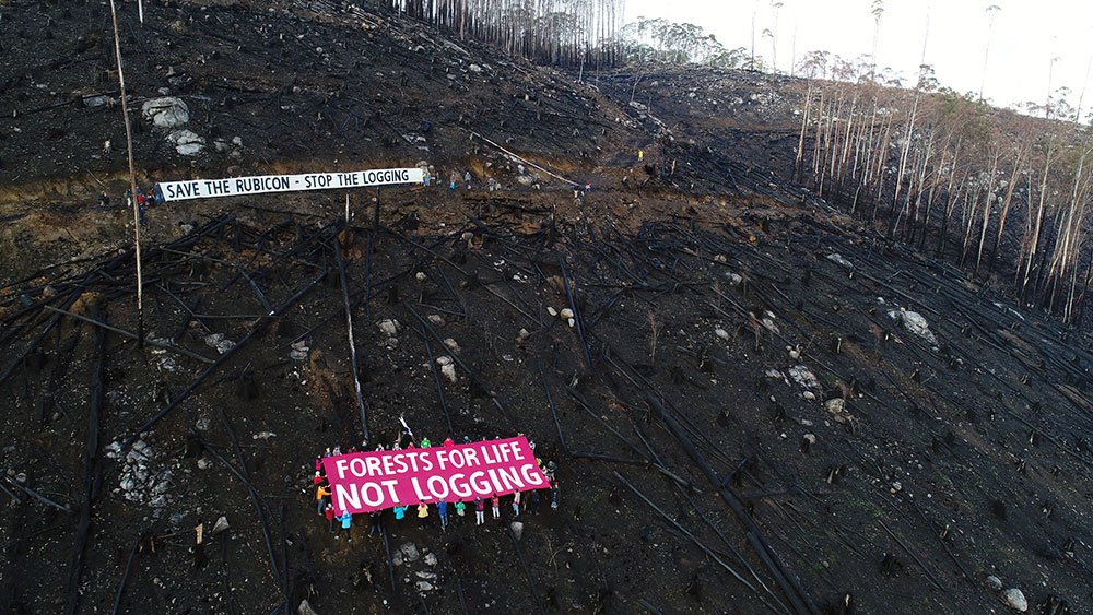 WTF?As any cool cat on the interweb knows, this stands for:Why The Fire? (go with me here)A thread addressing the topic of - WTF? Photo: Rubicon Forest Protection Group