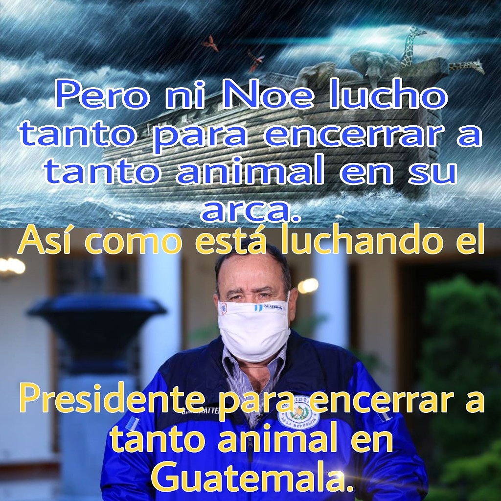 jixcajoc08's tweet photo. Vovid-19
Reto Guate.... https://t.co/3CkP2XyGKk