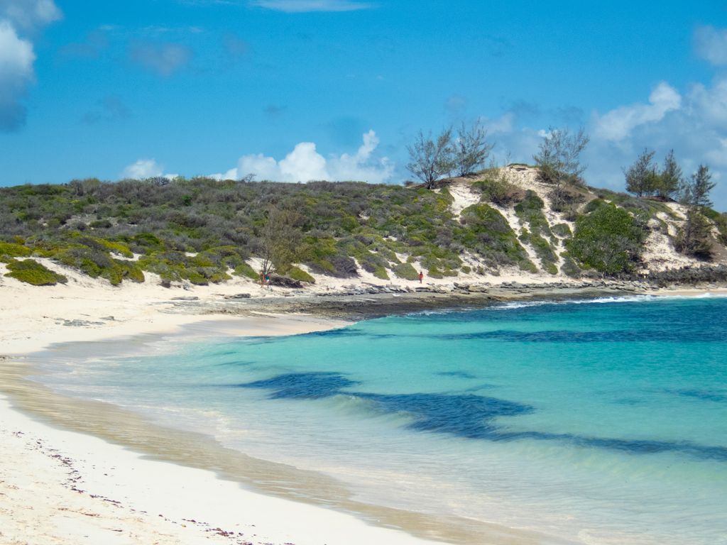 Have you always wanted to see the beautiful fauna in the sea around Madagascar? The Marine adventure trip is perfect for you! This trip is hosted by An Bollen. During the trip you will visit several tropical coral reefs, seagrass beds, vast sandy beaches, rocky islets etc. etc.