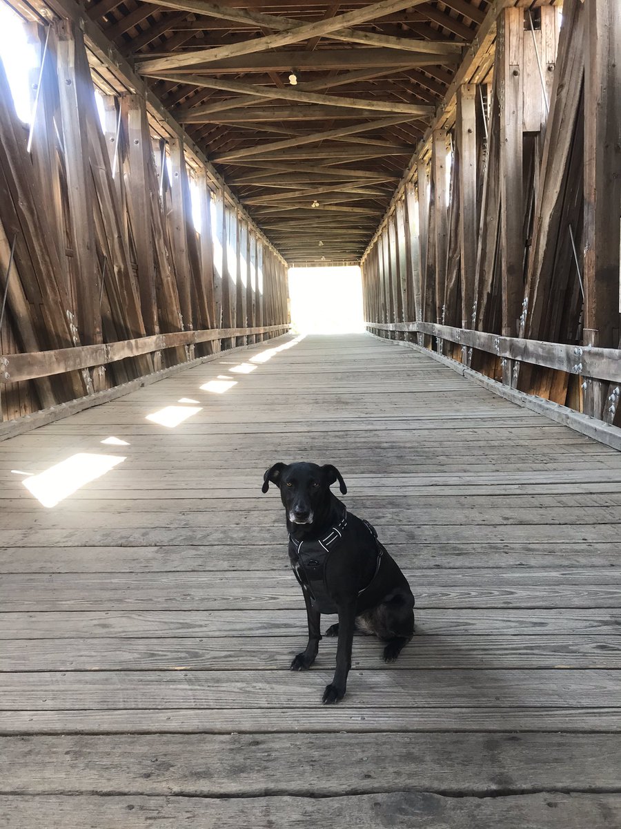 Fantastic walk on this beautiful day!! #happyearthday