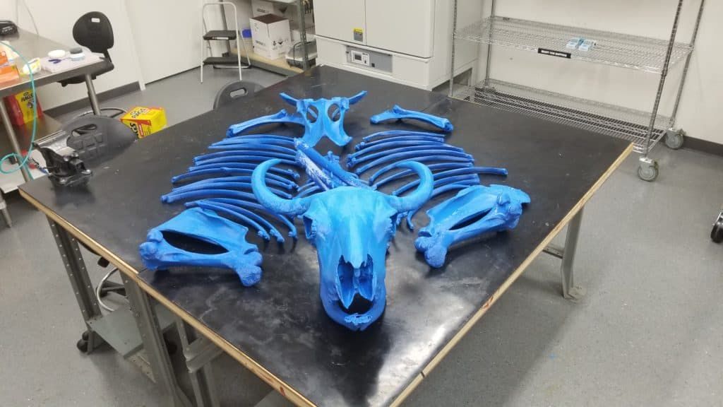 3dheals's tweet photo. Just published! Fun #Interview w #3DHEALS2020 Speaker Shannon Walters on his ventures and projects in #healthcare #3Dprinting, #BisonProject, and more serious topics like sterilization of #medical3dprint, Stanford University #Video, #Podcast https://t.co/UmgElELI30 https://t.co/hG445Wjytq
