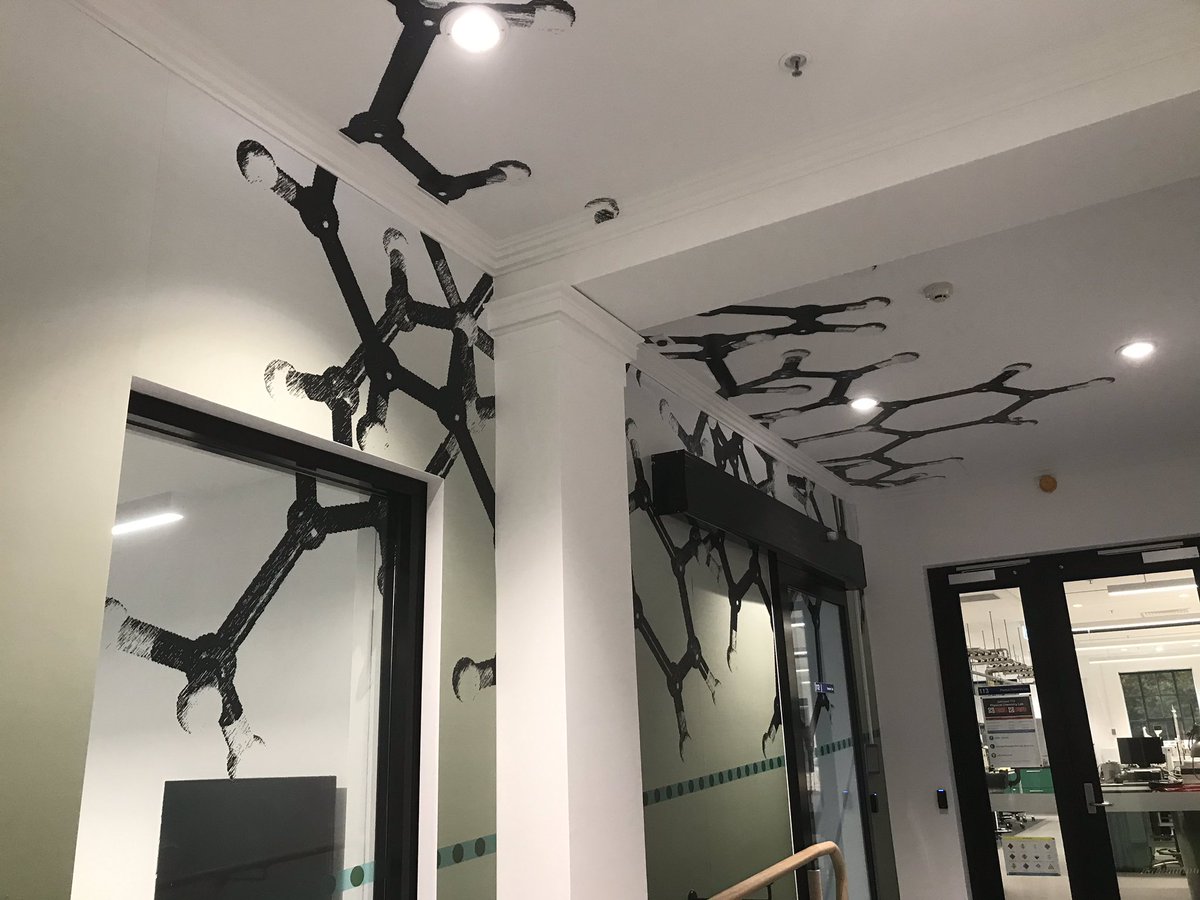 chriszombiechem's tweet photo. New murals in our refurbished teaching lab area @AdelaideChem @UniAdelSciences featuring a metallosupramolecular helicate made by @flikl (https://t.co/0MMMyMOYOm) https://t.co/w7wpeVmh7x