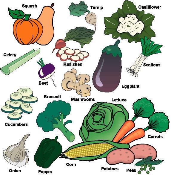 What’s your favorite vegetable? 🌽 🍆

#indonesianenglishtweeting #LearnEnglish #vocabulary