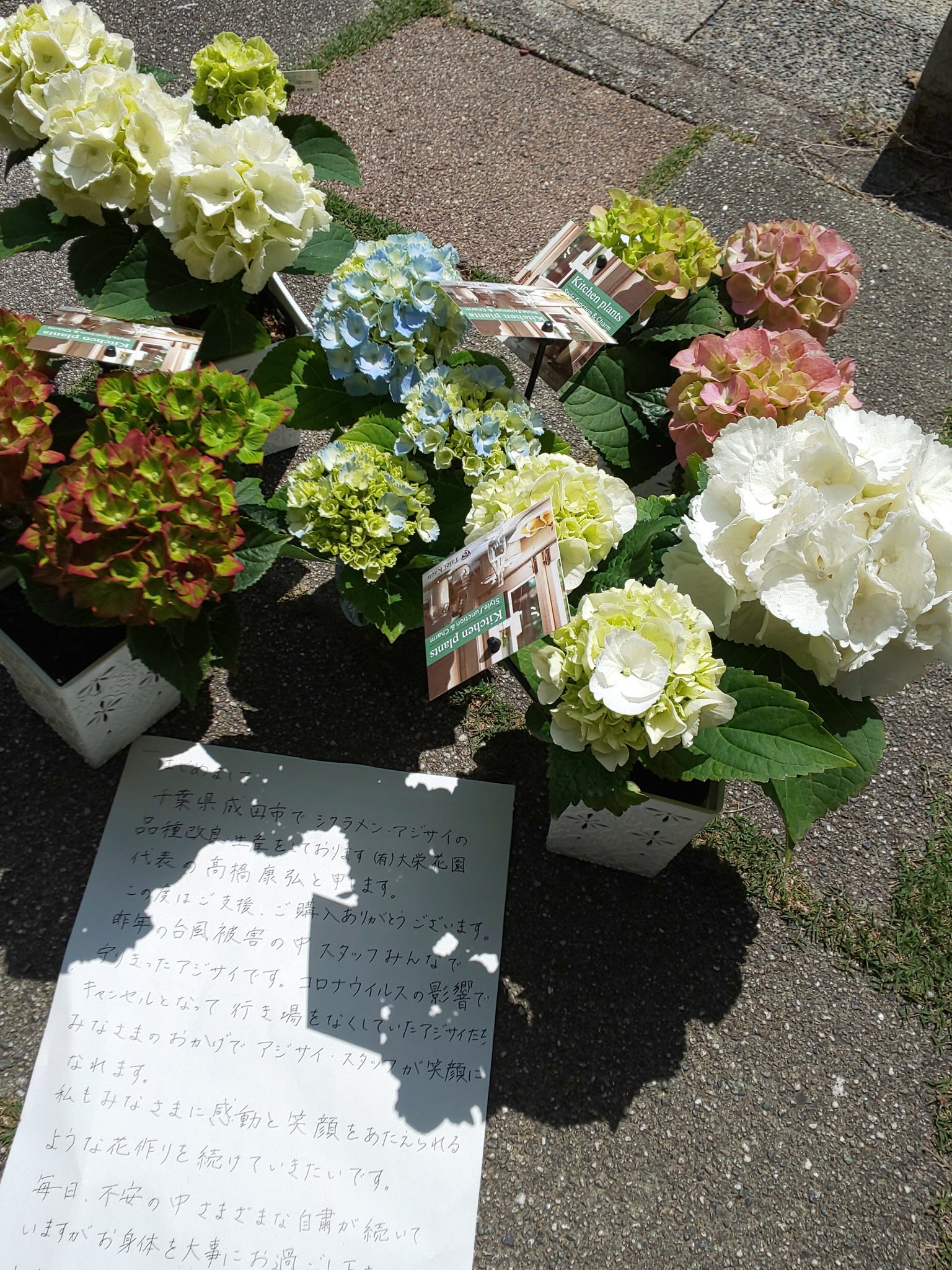 大栄花園 Twitter Search Twitter