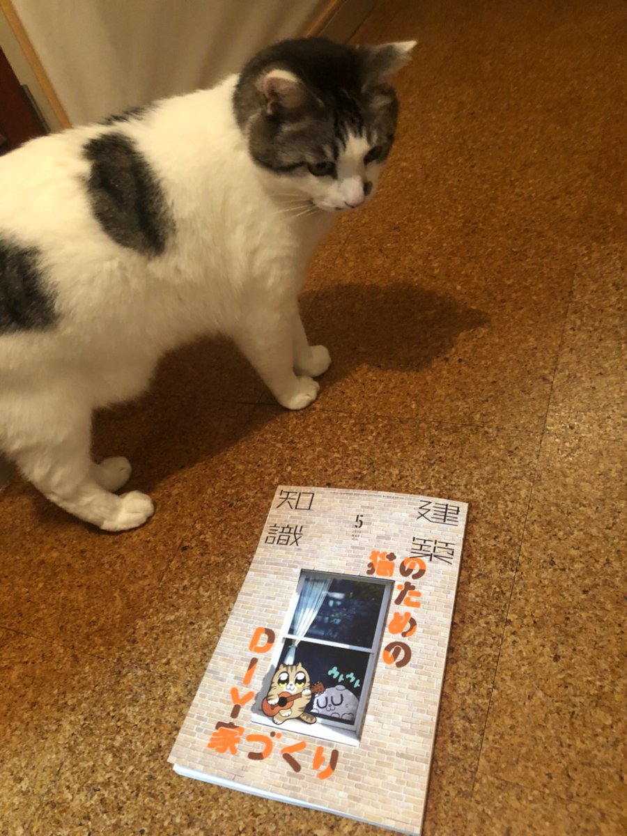 建築知識 V Twitter 発売中 猫のためのdiy家づくり ニャン築知識 建築知識 建築知識年5月号 これはニャンだ ニャンだ ニャンだ 猫営業部員 みぃちゃん 気になった方はぜひ いいね リツイートをお願いします ハッシュタグ 猫のためのdiy家づくり