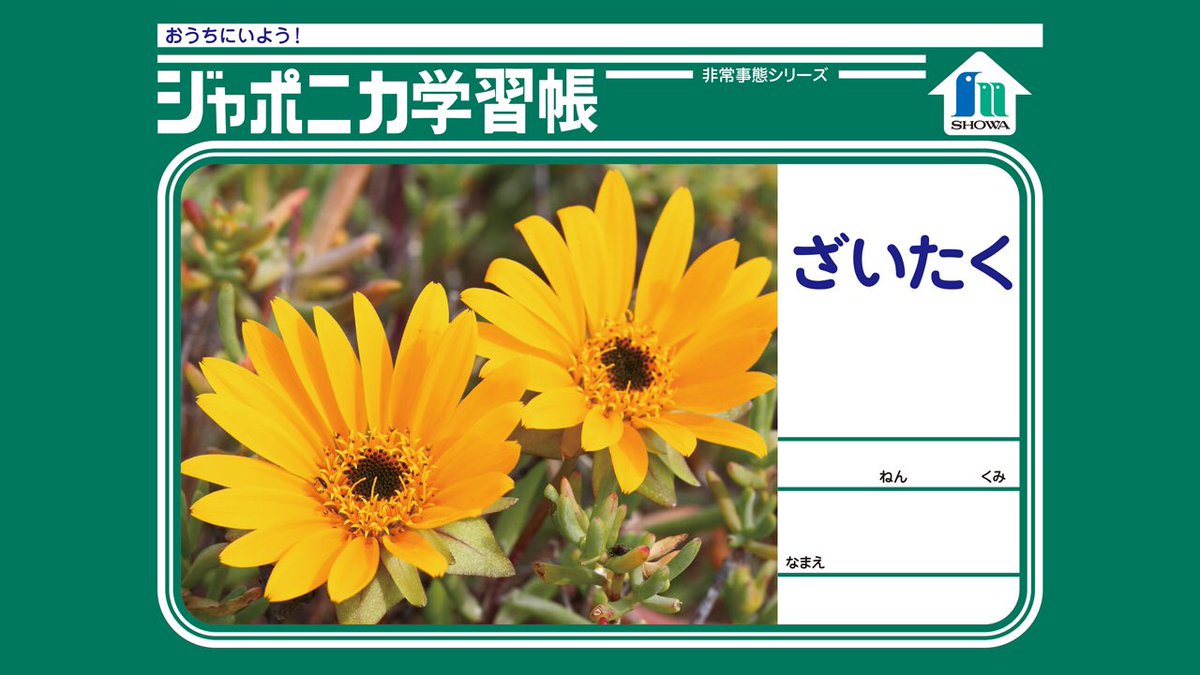 Zoom背景一発ボケ選手権 電波少年 例のプール ソフマップ 佐藤健 銀魂のあれ 高度な発想力で楽しむ人増殖中 素材集めざして随時更新中 Togetter