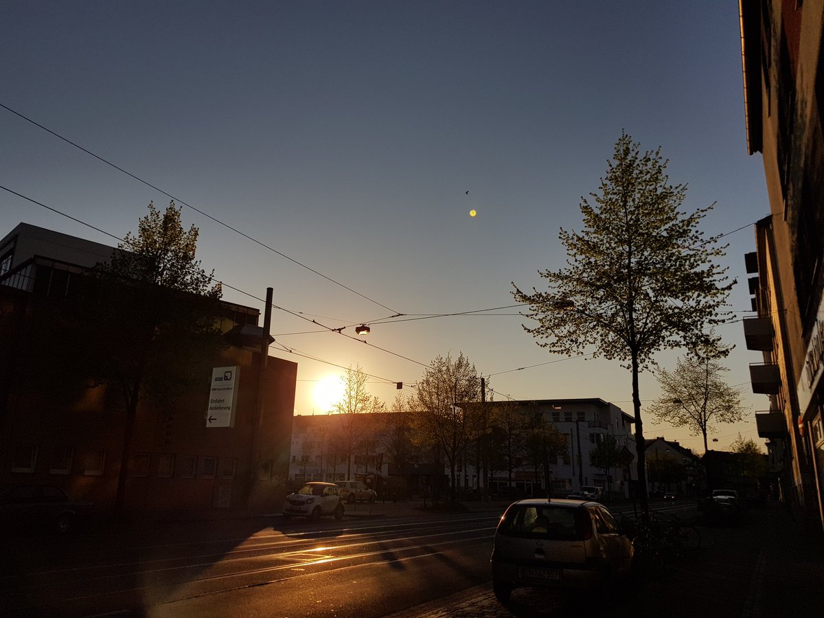 cogscinotes's tweet image. Best thing about #VacationAtHome during quarantine: Early morning skateboard tours on empty streets. 🛹🏞 And pretty sunrises.
#AcademicChatter #VacationHappiness @JoyfulPhd @OpenAcademics