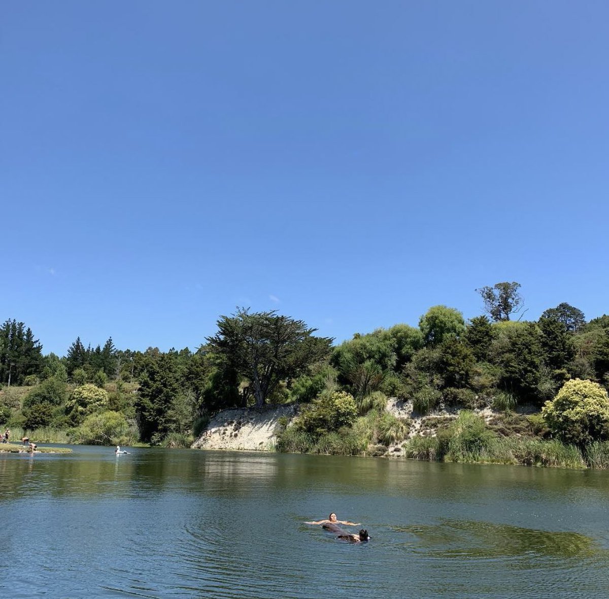 warkworth cement works waterhole (what a mouthful) this is the OG swim spot! it never lets us down! grab fish and chips afterwards and you’re sweet! 10/10!! (we even reenacted birdbox with a tree log one time) 