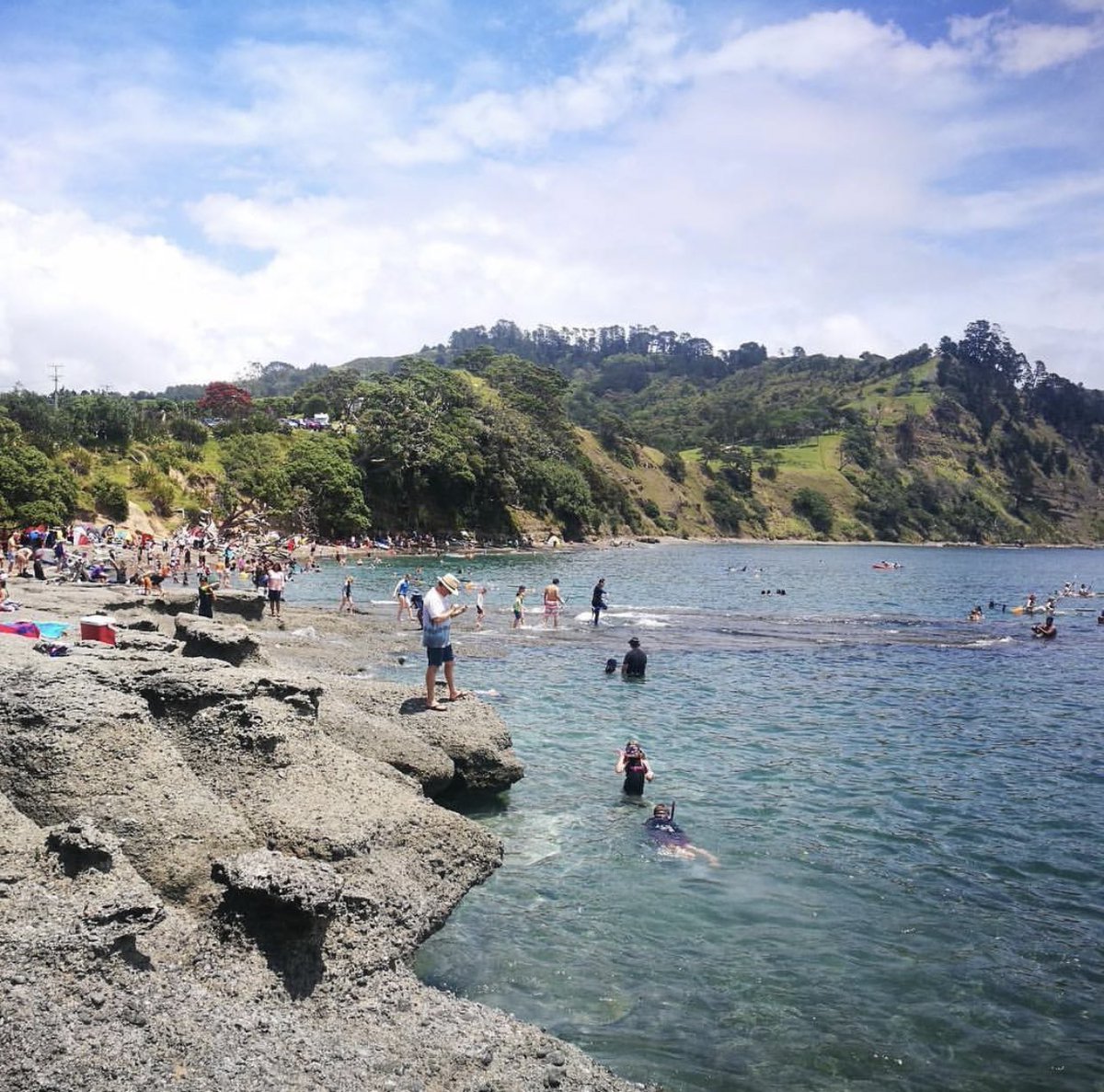 goats island marine reserve! so busy during summer but snorkeling here was amazing 