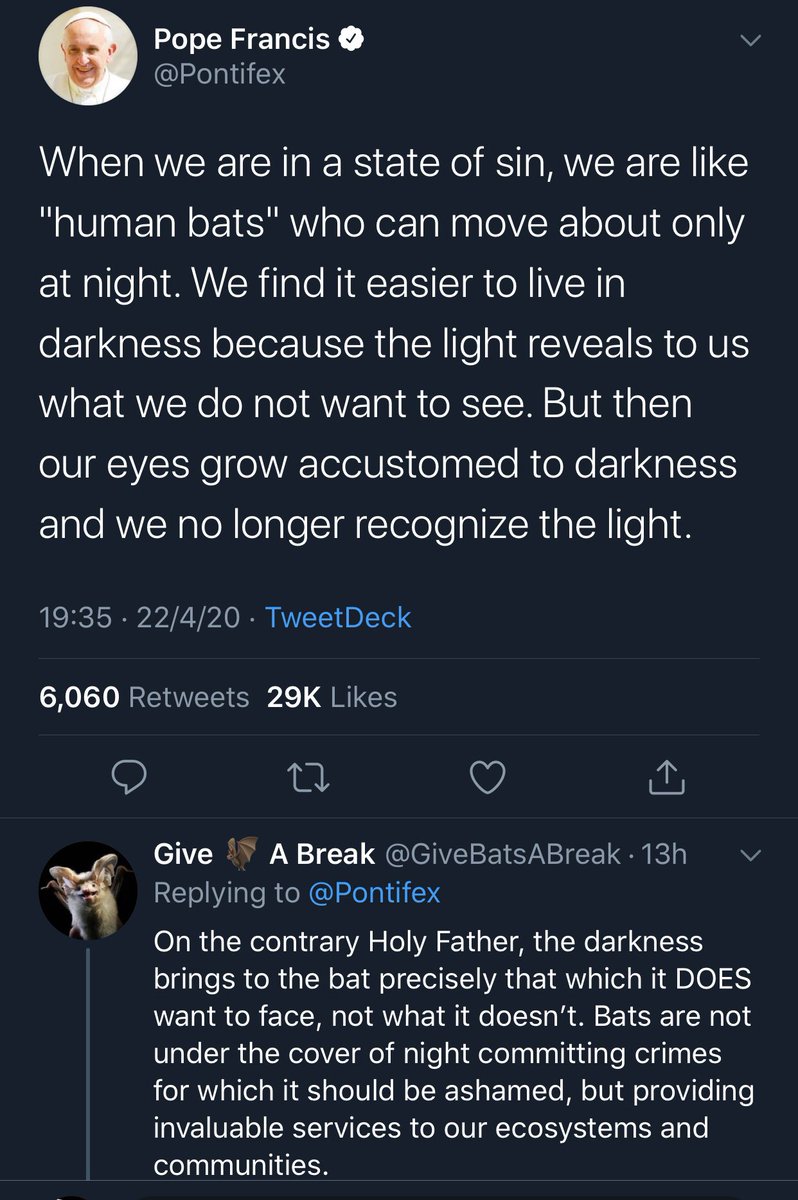 The Pope being schooled in theological biology by an account dedicated to bat PR is perhaps the best combination of things to happen on this website.