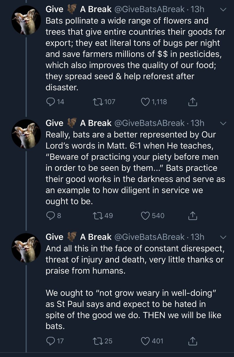 The Pope being schooled in theological biology by an account dedicated to bat PR is perhaps the best combination of things to happen on this website.