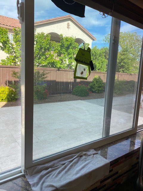 PatelLuvKinders's tweet photo. Happy Earth Day from these distance learners! From magic bean gardens to Earth Day art, these #wcsexplorers and showing #wcsjoyfullearning at home! https://t.co/UVMXVE482W