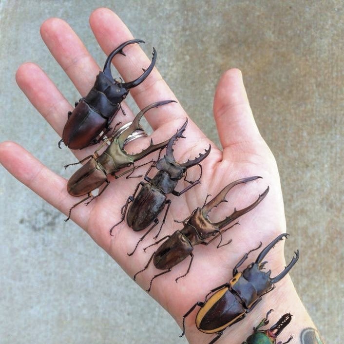 Archillect (@archillect) on Twitter photo 