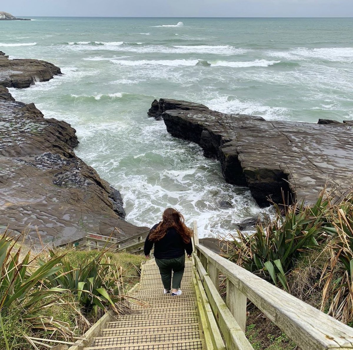 muriwai gannet colony - it’s chill, it’s a bit chaotic but remember you’re going into their home so you better watch out 