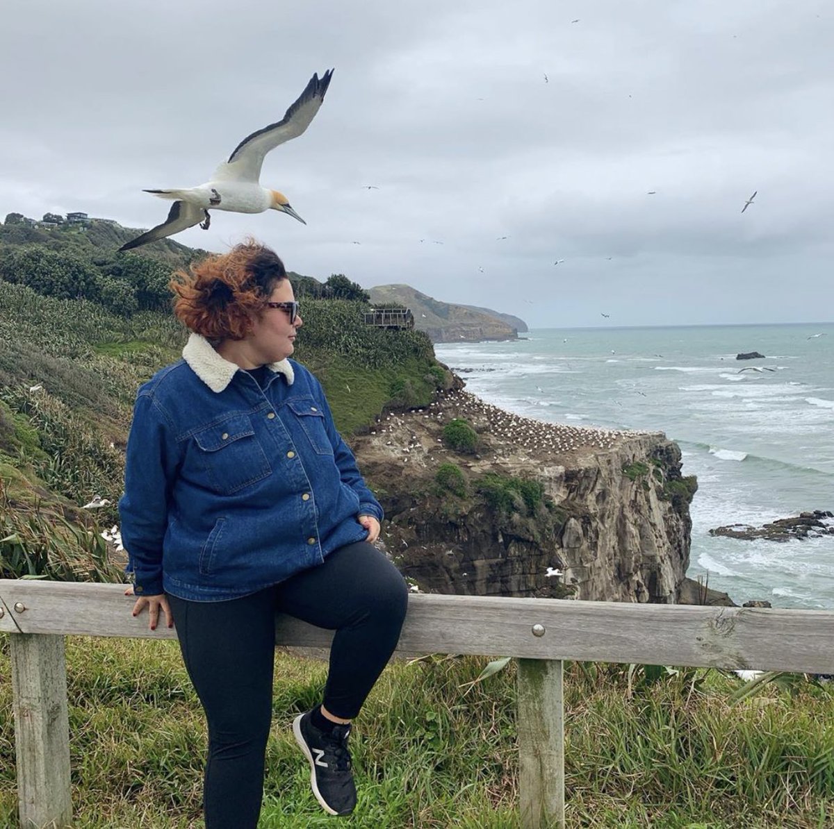 muriwai gannet colony - it’s chill, it’s a bit chaotic but remember you’re going into their home so you better watch out 