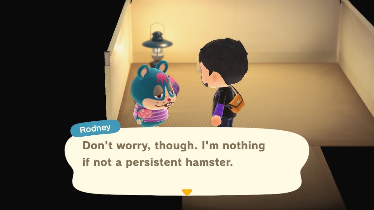 ShadowTech20's tweet photo. #AnimalCrossing #ACNH #NintendoSwitch https://t.co/csNnwc7W8l