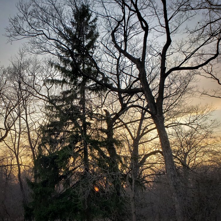 Nelson Schmidt Inc. tweet media