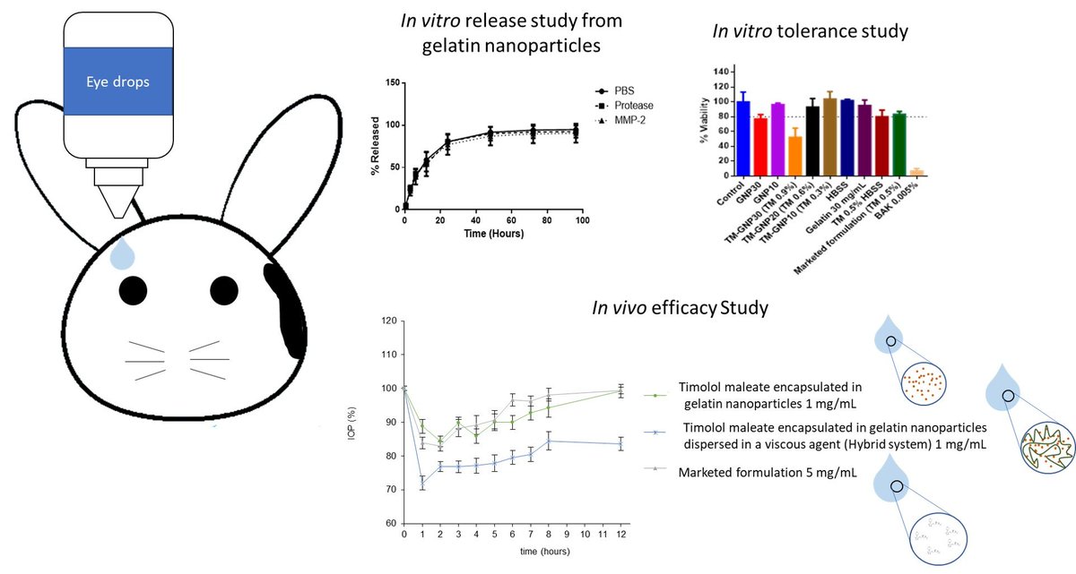 MDPIpharma's tweet photo. #mdpipharmaceutics, Gelatin Nanoparticles-HPMC Hybrid System for Effective Ocular Topical Administration of Antihypertensive Agents, https://t.co/8OwPYj3Waq

This article belongs to the Special Issue #Ocular #DrugDelivery: Present Innovations and Future Challenges. https://t.co/OBXylGQIC8