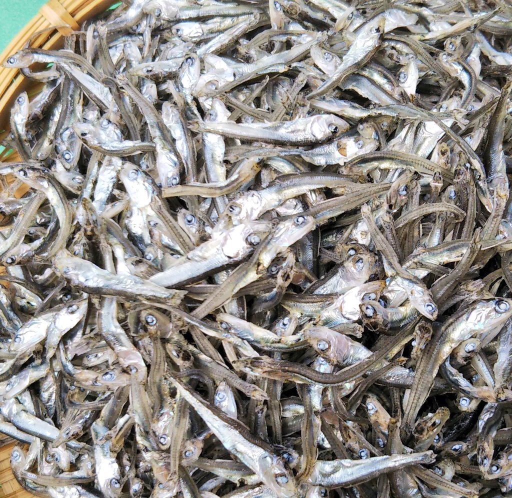 ひらご Twitter Search Twitter