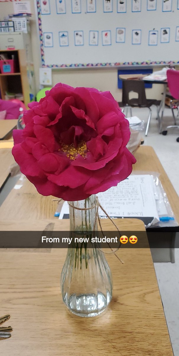 LisaMarie2515's tweet photo. When you get a new student. So sweet. Hopefully we can get to know each other over zoom.
#newteacherlife
#lovemystudents https://t.co/1T7aVf2ZIS