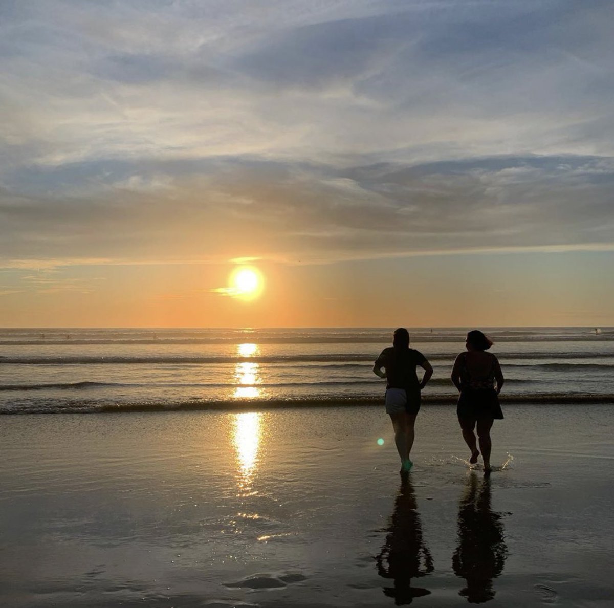 muriwai beach! 10/10 west coast beach - better than piha in my opinion!!! it has so much to offer! 