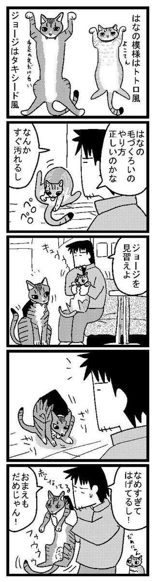 279 ねこのふく 