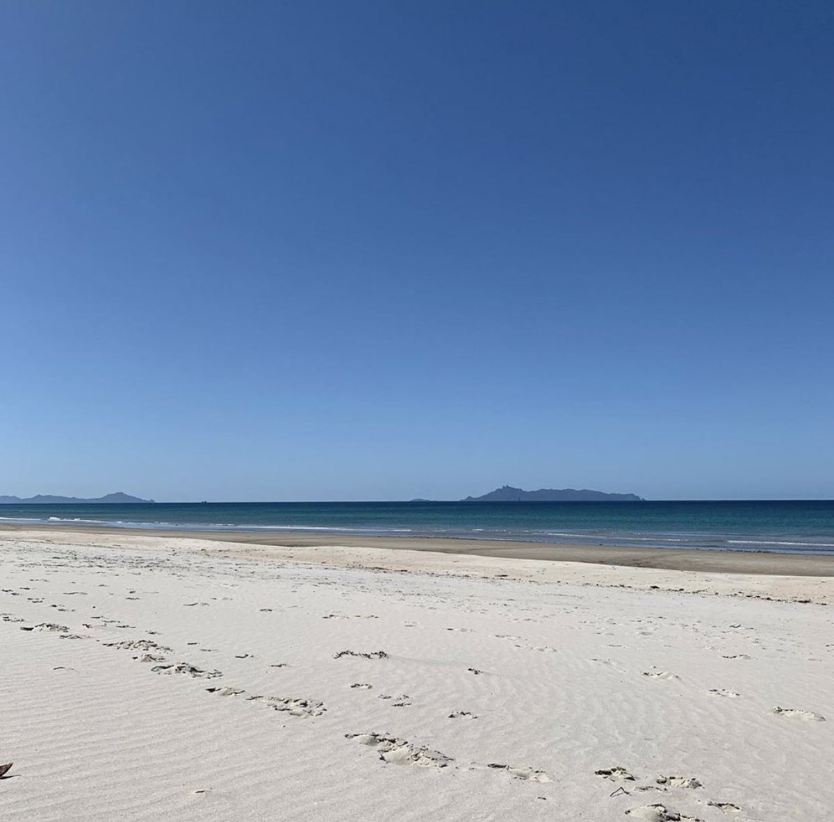 te arai beach! honestly the most beautiful white sand beach ever! this place is magical! 