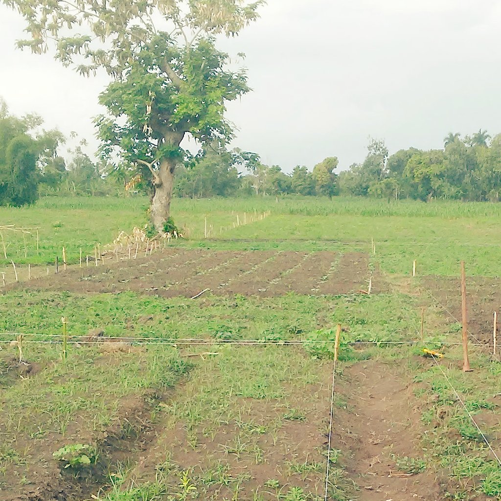 Lavi aprann mw konte menl pa aprann mw konte sou moun