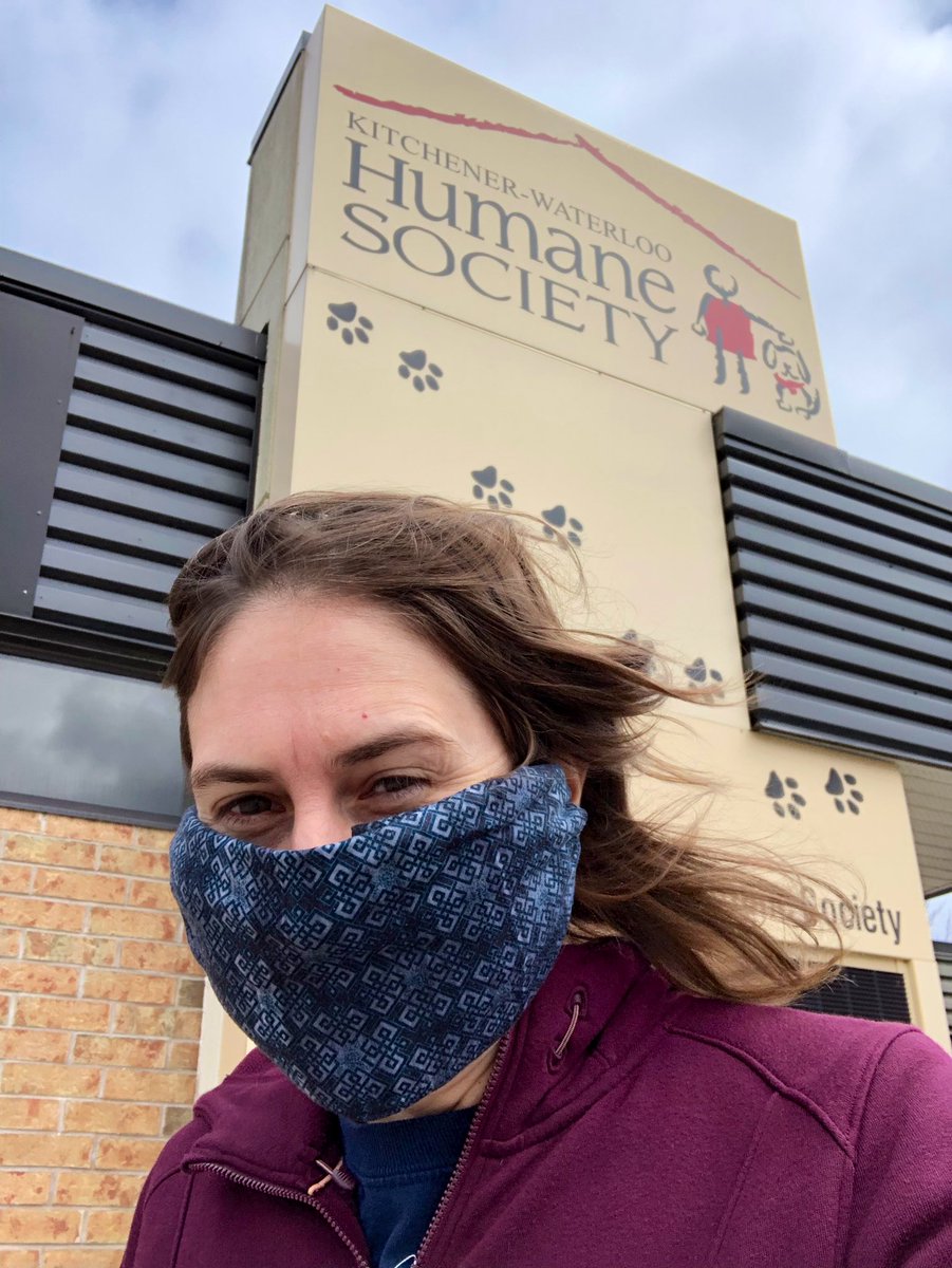 A photo of me wearing a large bandana as a face mask on a windy day standing in front of the Kitchener-Waterloo Humane Society building